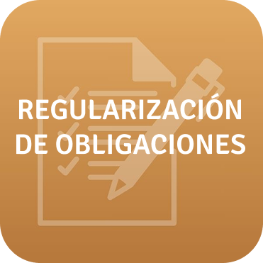 Regularización de obligaciones