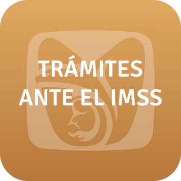 Trámites ante el IMSS