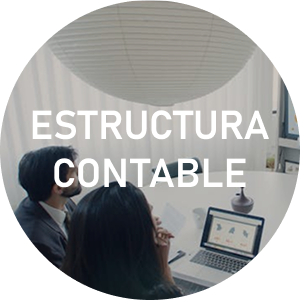 imagen circular con el texto estructura contable